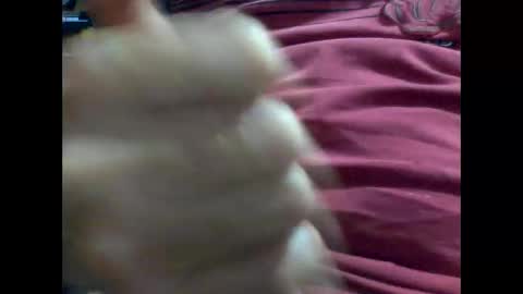 PencilDick online show from February 9, 2025, 8:54 am