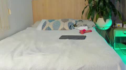 DIOSA online show from April 29, 2026, 11:47 am