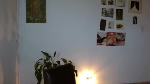 Snapshot of golden_alaska chatting on February 1, 2026, 12:15 pm Alaska online show from February 1, 2026, 12:15 pm