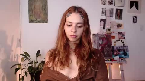 Alaska online show from March 11, 2026, 1:17 pm