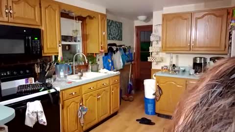 goodgirlcelestecat online show from March 23, 2026, 10:30 am