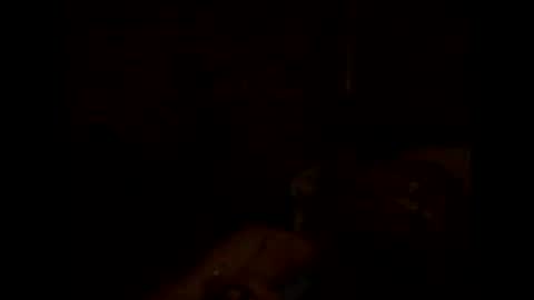 Gos Hawk online show from January 14, 2025, 4:36 am