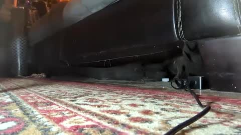 Snapshot of gothicfeetfantasies chatting on January 25, 2025, 7:17 am Mistress Mommy Godess online show from January 25, 2025, 7:17 am