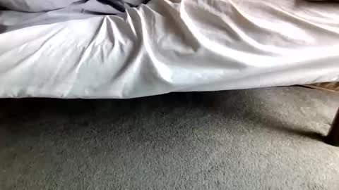 watch me stroke online show from April 28, 2026, 4:34 pm