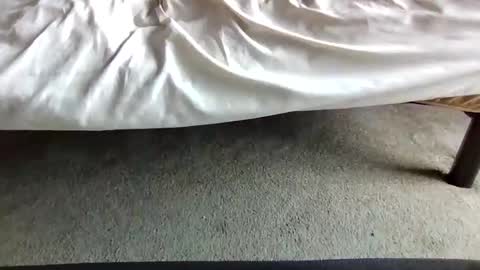 watch me stroke online show from April 29, 2026, 7:09 pm