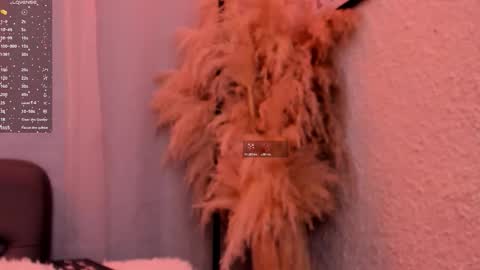 Grace online show from November 4, 2025, 12:04 pm