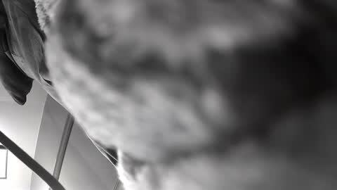 Get US to 1000 you wont be disapointed online show from December 10, 2024, 6:22 am