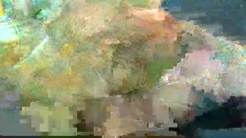 greatbiggs6969 online show from January 2, 2025, 2:35 pm