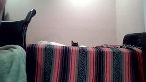 Jack online show from April 11, 2026, 7:45 am