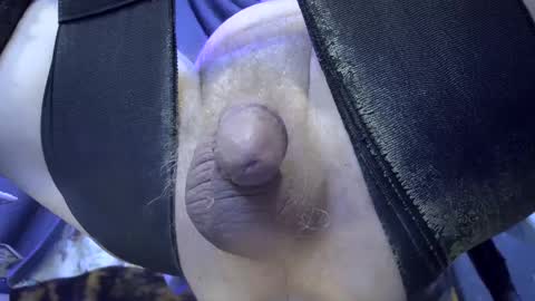 Snapshot of gregbball1 chatting on February 25, 2025, 8:25 am electrogee1 online show from February 25, 2025, 8:25 am