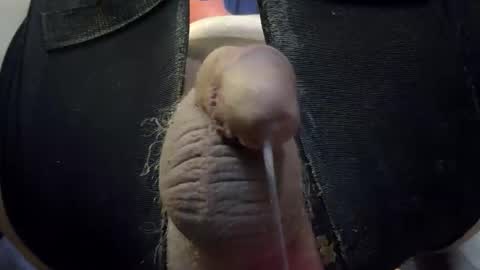 electrogee1 online show from April 6, 2026, 9:49 pm