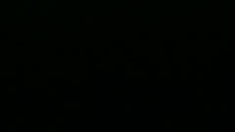 greyfox_6000 online show from February 25, 2025, 4:21 pm