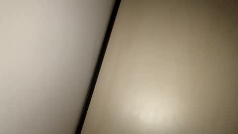 Snapshot of greyvan96 chatting on February 17, 2025, 10:18 am Perfectlyaveragesavage online show from February 17, 2025, 10:18 am