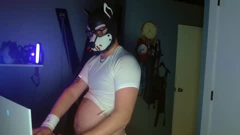 Alpha pup online show from October 8, 2025, 9:29 am