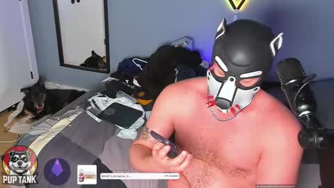 Alpha pup online show from November 23, 2025, 7:35 pm