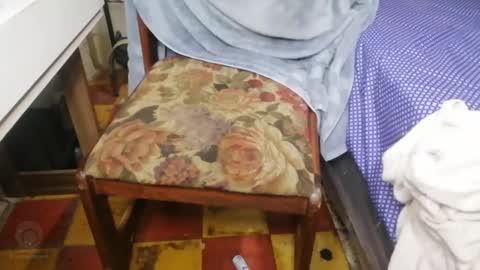 guatemangt online show from March 12, 2025, 4:19 am