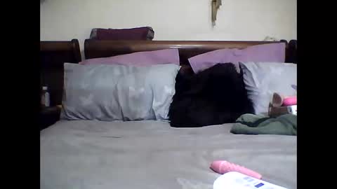 Snapshot of gucci_bx chatting on March 8, 2025, 2:23 am gucci-bx online show from March 8, 2025, 2:23 am