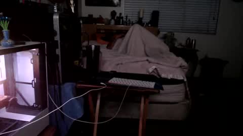 Mario online show from February 22, 2026, 2:04 pm