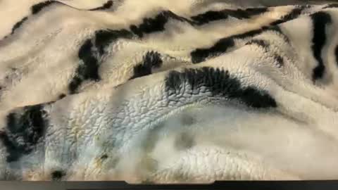 gumbywanna online show from November 26, 2025, 2:56 am