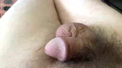 guttersnipe71 online show from April 1, 2026, 1:41 pm