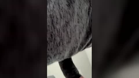 Ricko online show from March 6, 2026, 5:53 pm