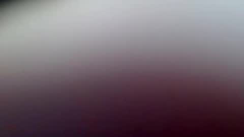 habitus1 online show from February 13, 2025, 11:17 am