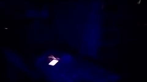 Snapshot of hackerbtc11 chatting on April 8, 2026, 3:17 am hackerbtc11 online show from April 8, 2026, 3:17 am