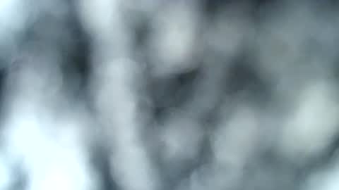 tatted blonde online show from January 17, 2025, 12:53 am