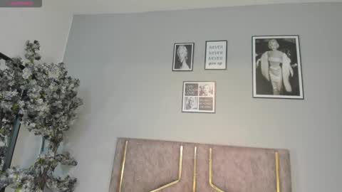 haileystonei online show from January 9, 2026, 11:02 am