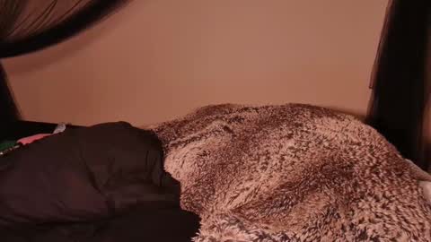 HailWilds online show from March 1, 2025, 2:59 am