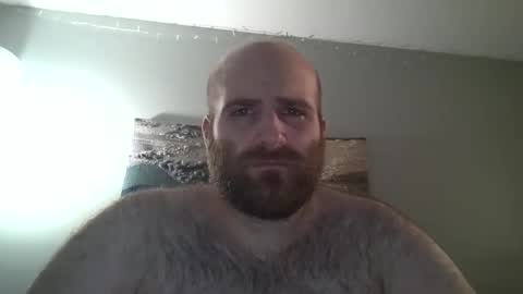 Hairiest Bear online show from December 28, 2024, 7:43 pm