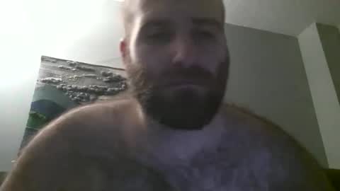Hairiest Bear online show from January 19, 2025, 7:36 am