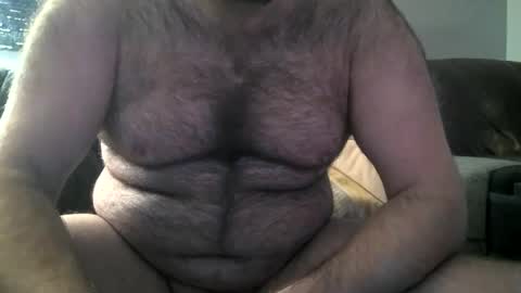 Hairiest Bear online show from February 8, 2025, 10:39 am