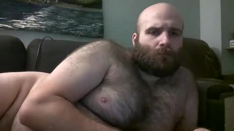 Hairiest Bear online show from February 9, 2025, 12:08 pm