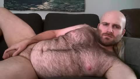 Hairiest Bear online show from February 11, 2025, 4:02 pm