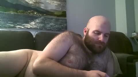 Hairiest Bear online show from March 9, 2025, 3:01 am