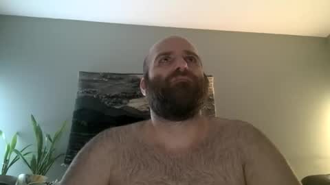 Hairiest Bear online show from March 1, 2026, 5:53 am