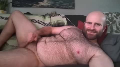 Hairiest Bear online show from March 17, 2026, 1:36 pm
