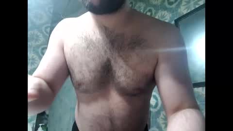 Snapshot of hairyfatboy01 chatting on May 14, 2026, 12:17 am hairyfatboy01 online show from May 14, 2026, 12:17 am