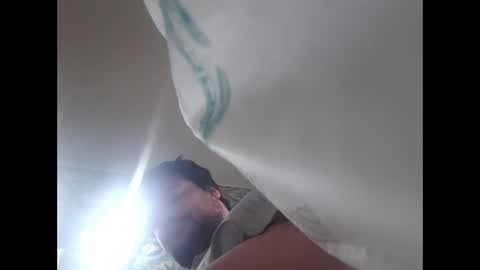 Snapshot of hairyfatboy01 chatting on June 11, 2026, 8:45 am hairyfatboy01 online show from June 11, 2026, 8:45 am