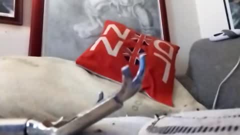 Marty online show from February 22, 2026, 9:24 pm