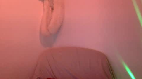 Snapshot of hairytonkas chatting on January 15, 2025, 2:27 am HairyTonkas online show from January 15, 2025, 2:27 am