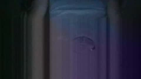 Snapshot of haitham419382 chatting on October 11, 2025, 12:36 pm Kiss cocky online show from October 11, 2025, 12:36 pm