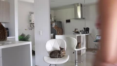 insta Laupalacio777Next stream 01th December online show from February 23, 2025, 6:12 pm