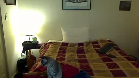 hammerthatthang73 online show from November 4, 2025, 8:57 am