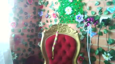 Snapshot of han_deus chatting on December 25, 2024, 5:05 pm HANMy Dears make sure to follow me here create a FREE account if you dont have one and chat thank you. online show from December 25, 2024, 5:05 pm