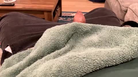 handhugger online show from December 27, 2024, 8:28 pm