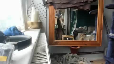 Snapshot of handncocknocum chatting on December 17, 2024, 11:17 am handncocknocum online show from December 17, 2024, 11:17 am