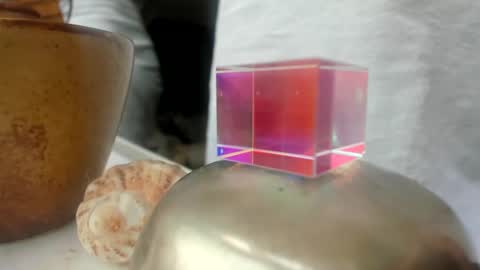 Snapshot of handncocknocum chatting on December 26, 2024, 1:54 pm handncocknocum online show from December 26, 2024, 1:54 pm