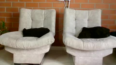 hanna online show from January 20, 2025, 6:32 pm